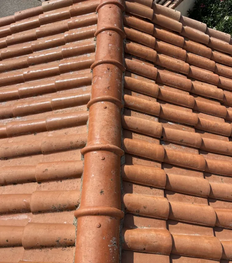 equipe lamisse renovation couverture